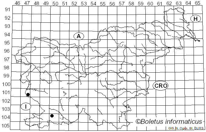 <i>Xylodon raduloides</i> Riebesehl & Langer (2017)
