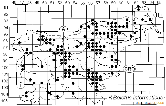 <i>Cortinarius orellanus</i> Fr. (1838)