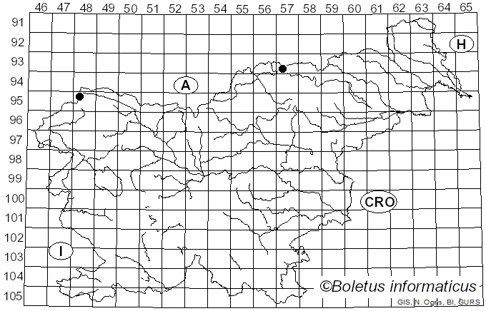 <i>Melampsoridium hiratsukanum</i> S. Ito ex Hirats. f. (1927)