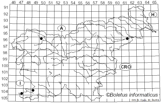 <i>Coprinellus ellisii</i> (P.D. Orton) Redhead, Vilgalys & Moncalvo (2001)
