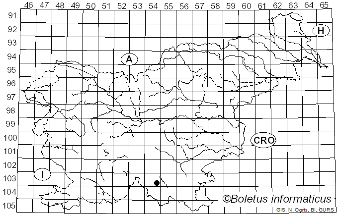 <i>Amylocorticium subincarnatum</i> (Peck) Pouzar (1959)