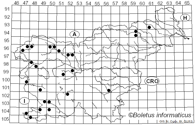 <i>Terana coerulea</i> (Lam.) Kuntze (1891)