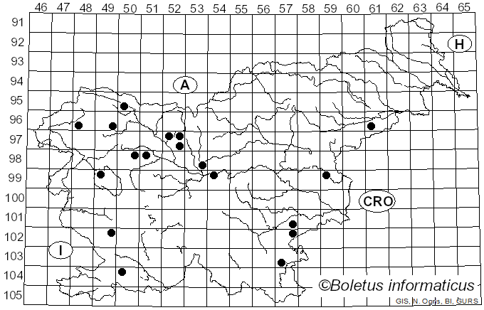 <i>Gliophorus</i> Herink (1958)