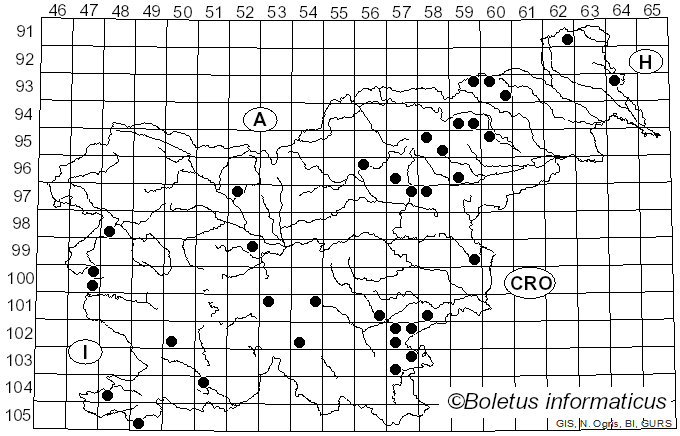 <i>Aureoboletus</i> Pouzar (1957)