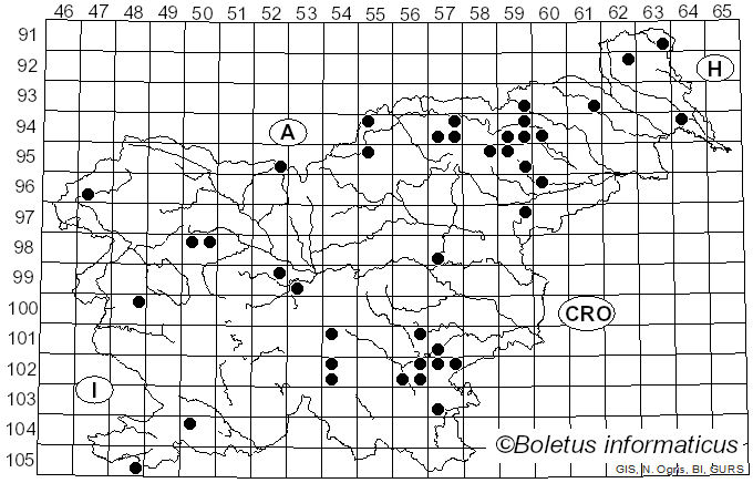 <i>Hypomyces chrysospermus</i> Tul. & C. Tul. (1860)