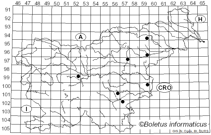 <i>Calonarius flavovirens</i> (Rob. Henry) Niskanen & Liimat. (2022)