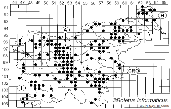 <i>Tricholoma terreum</i> (Schaeff.) Quél. (1871)