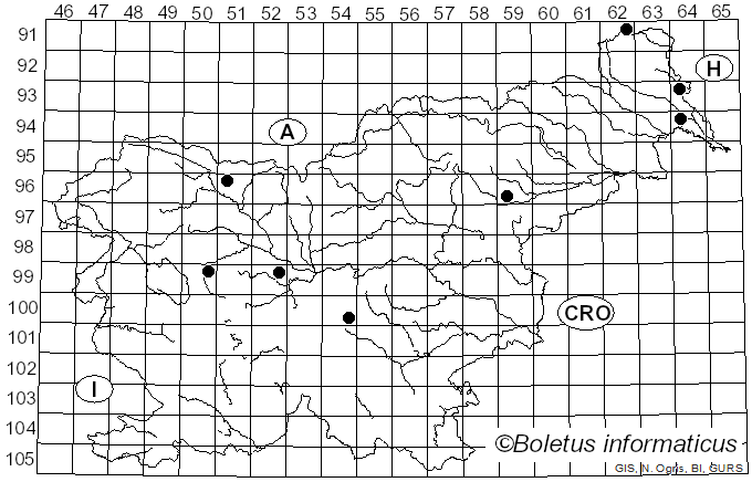 <i>Collybiopsis quercophila</i> (Pouzar) R.H. Petersen (2021)