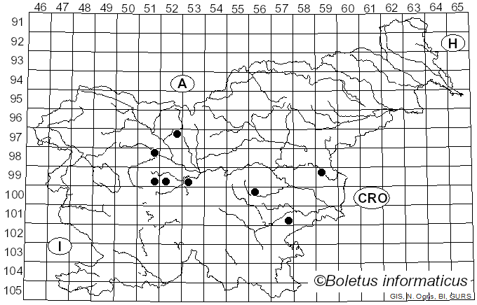 <i>Inocybe curvipes</i> P. Karst. (1890)