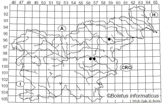 <i>Tubakia</i> B. Sutton (1973)