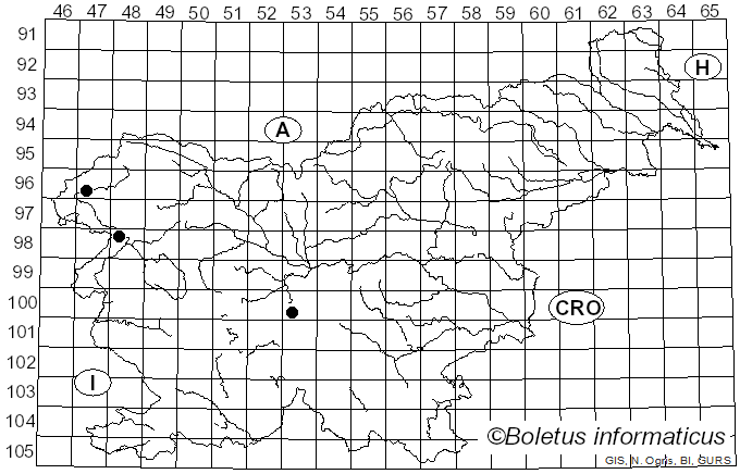 <i>Phlegmacium triumphans</i> (Fr.) A. Blytt (1905)