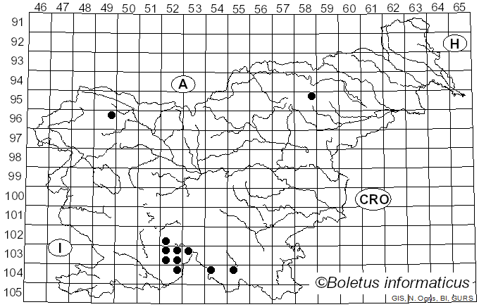 <i>Megalaria</i> Hafellner (1984)