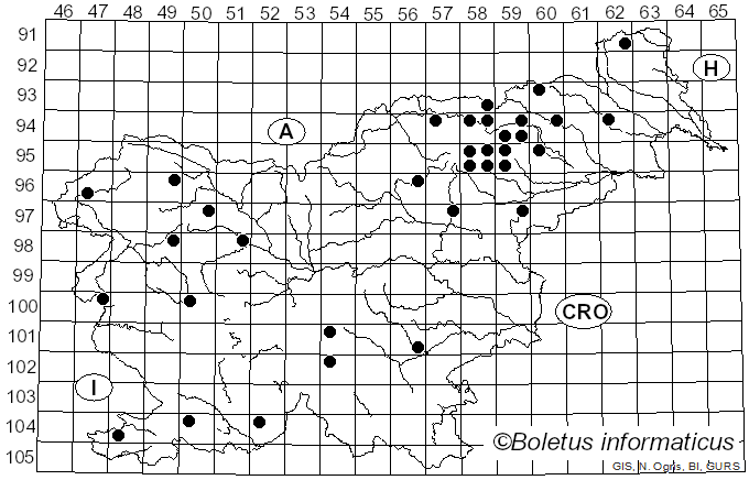 <i>Cystinarius crassus</i> (Fr.) Niskanen & Liimat. (2022)