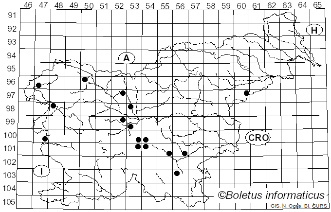 <i>Peziza repanda</i> Pers. (1808)