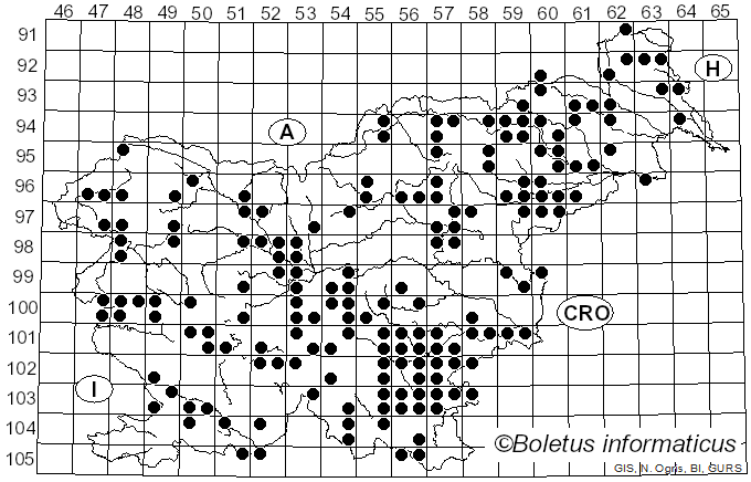 <i>Xylaria polymorpha</i> (Pers.) Grev. (1824)