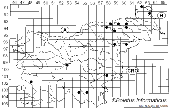 <i>Antrodiella semisupina</i> (Berk. & M.A. Curtis) Ryvarden (1980)
