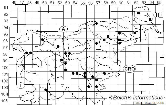 <i>Pterula multifida</i> (Chevall.) Fr. (1863)