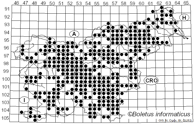 <i>Russula cyanoxantha</i> (Schaeff.) Fr. (1863)