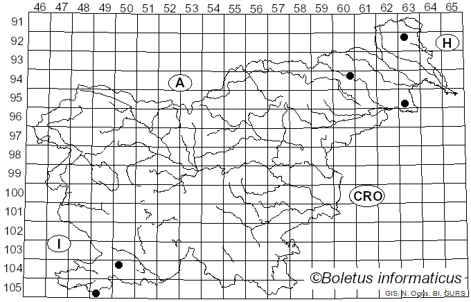 <i>Arachnopeziza aurelia</i> (Pers.) Fuckel (1870)