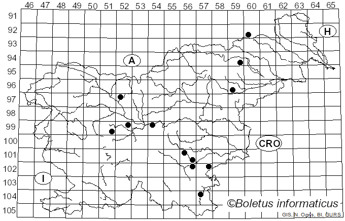 <i>Russula melzeri</i> Zvára (1927)