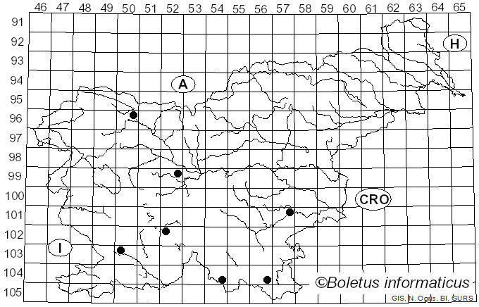 <i>Pseudoinonotus</i> T. Wagner & M. Fisch. (2001)