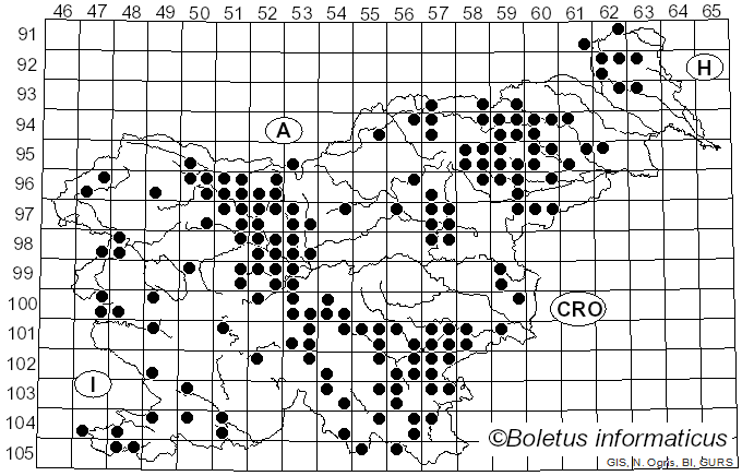 <i>Tremella</i> Pers. (1794)