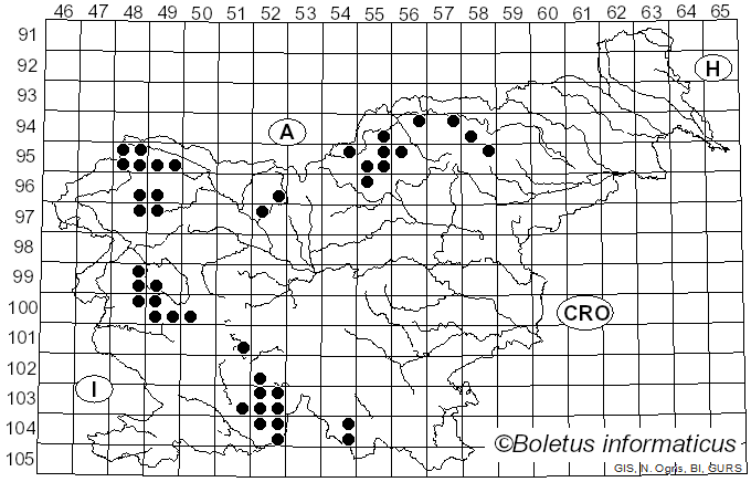 <i>Scoliciosporum chlorococcum</i> (Graewe ex Stenh.) Vezda (1978)