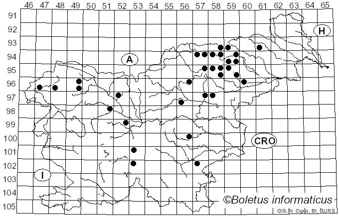 <i>Cortinarius croceus</i> (Schaeff.) Gray (1821)