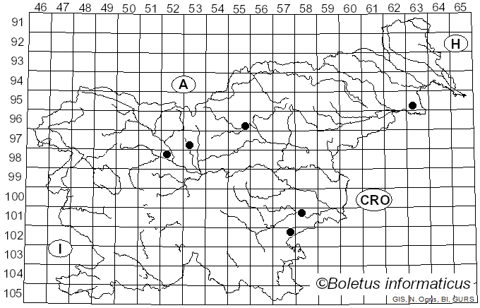 <i>Maublancomyces</i> Herter (1950)