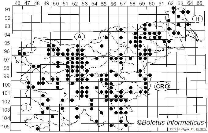 <i>Lycogala epidendrum</i> (J.C. Buxb. ex L.) Fr. (1829)