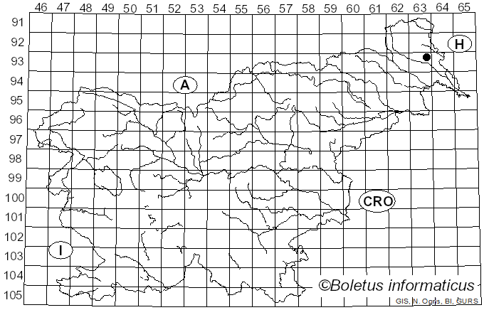 <i>Boletus quercophilus</i> Halling & G.M. Muell. (1999)