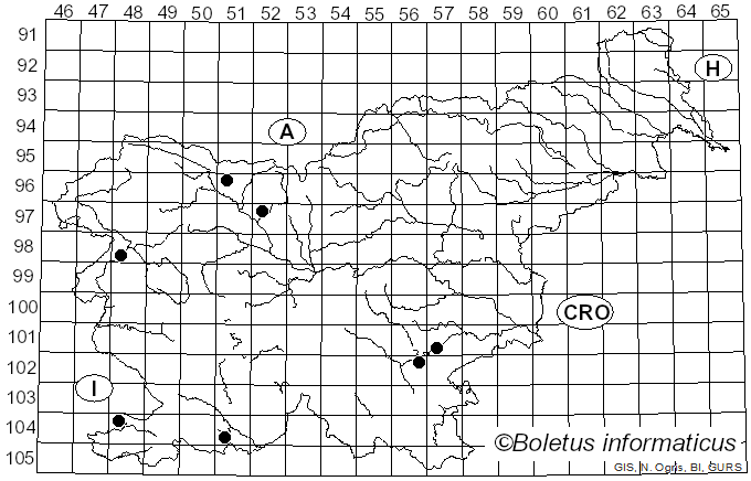 <i>Hypsizygus</i> Singer (1947)