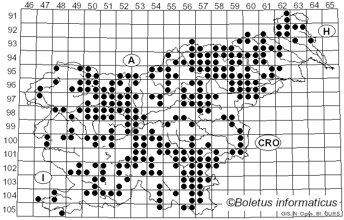 <i>Calocera</i> (Fr.) Fr. (1828)