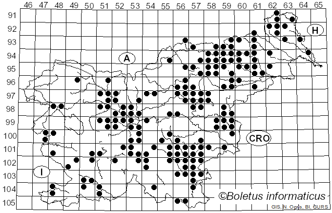 <i>Russula atropurpurea</i> (Krombh.) Britzelm. (1893)