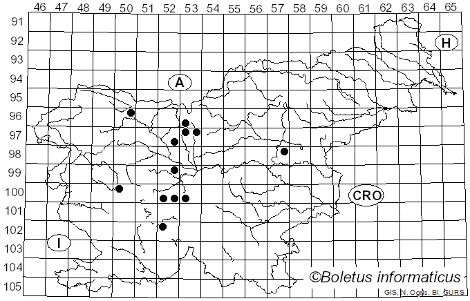 <i>Phyllachora</i> Nitschke ex Fuckel (1870)