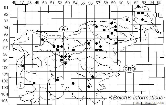 <i>Hydnellum aurantiacum</i> (Batsch) P. Karst. (1880)