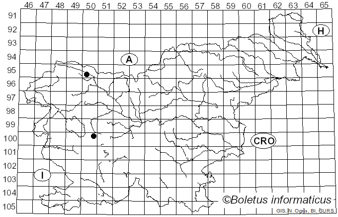 <i>Ophiocordyceps</i> Petch (1931)
