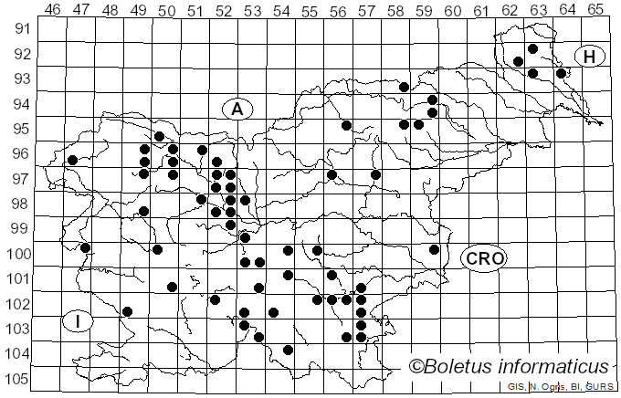 <i>Boletopsis leucomelaena</i> (Pers.) Fayod (1889)