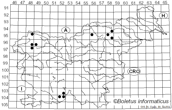 <i>Ochrolechia microstictoides</i> Räsänen (1936)