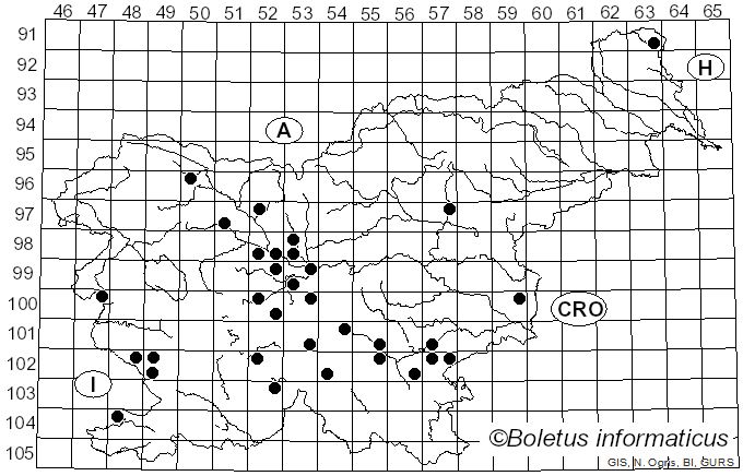<i>Leucopaxillus giganteus</i> (Sowerby) Singer (1939)