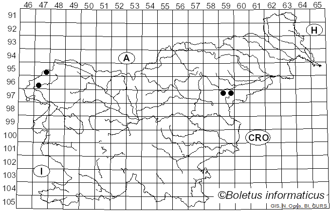 <i>Thaxterogaster subporphyropus</i> (Pilát) Niskanen & Liimat. (2022)