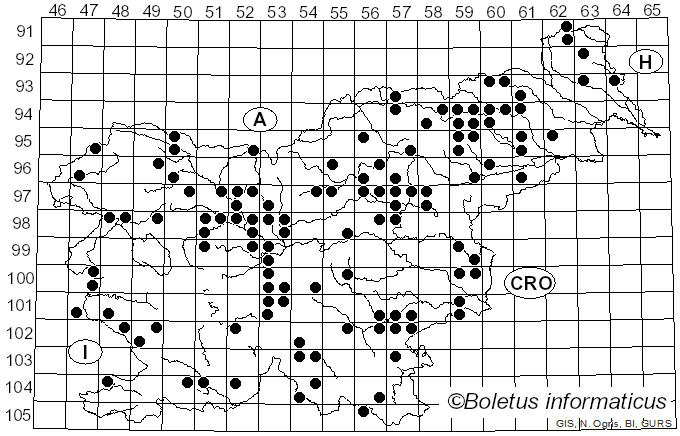 <i>Lepiota clypeolaria</i> (Bull.) Quél. (1871)