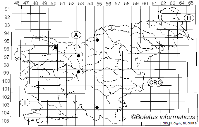 <i>Ramularia oreophila</i> Sacc. (1881)