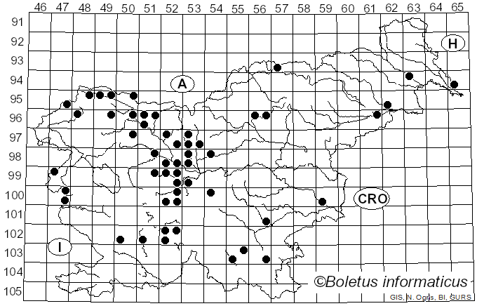 <i>Melampsora</i> Castagne (1843)