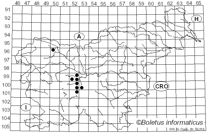 <i>Sphegina clunipes</i> Fallen
