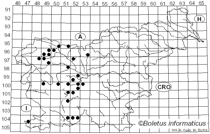 <i>Eupeodes</i> Sacken (1877)