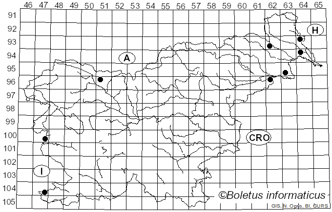 <i>Hysterium angustatum</i> Alb. & Schwein. (1805)