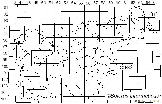 <i>Mollisia melaleuca</i> (Fr.) Sacc. (1889)