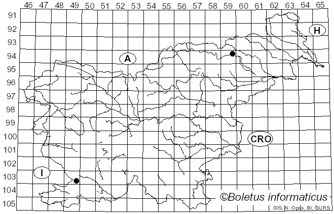 <i>Splanchnonema platani</i> (Ces.) M.E. Barr (1982)
