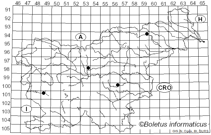 <i>Vanderbylia</i> D.A. Reid (1973)